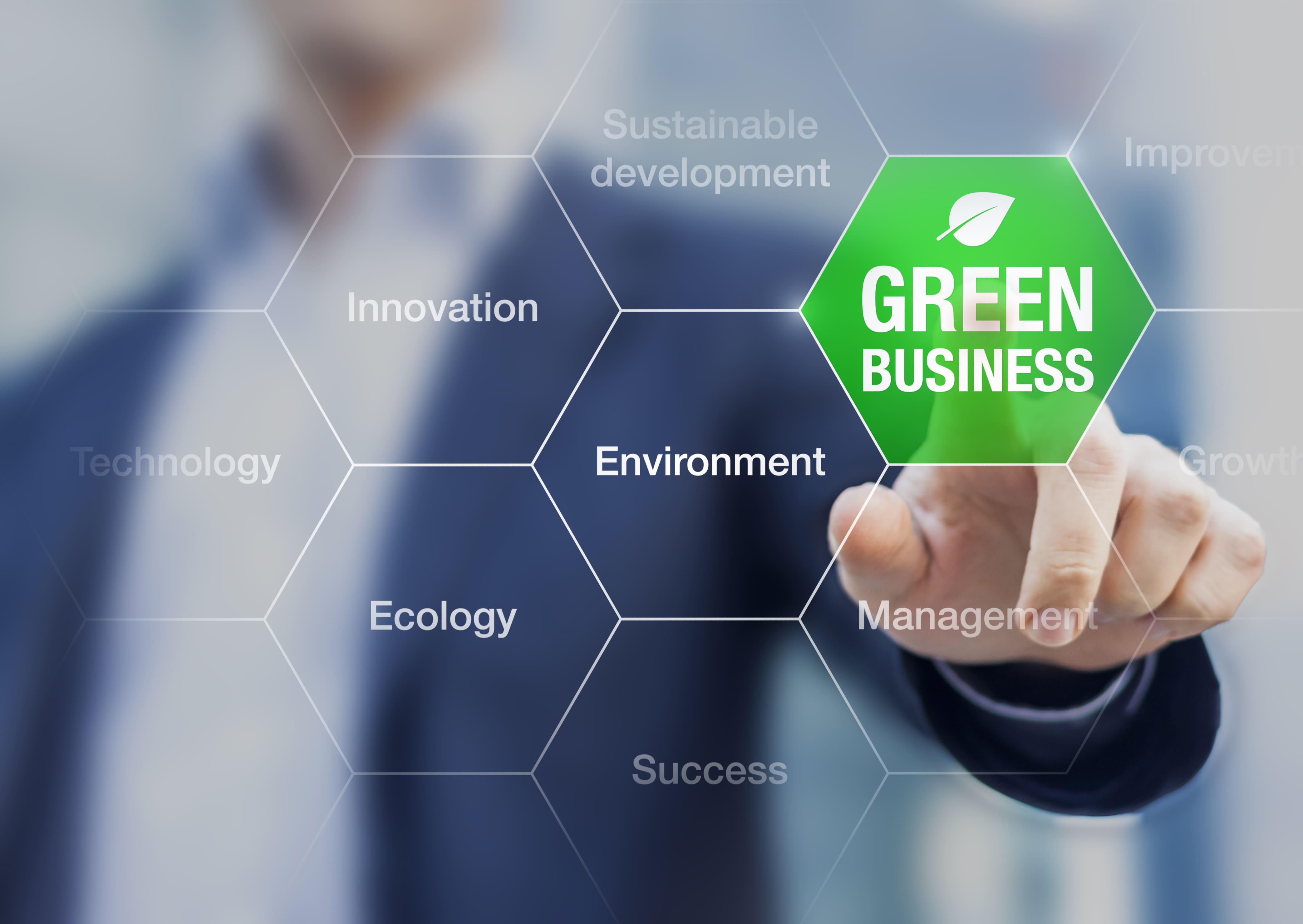 Sustainability as a Core Value: How It Influences Talent Retention