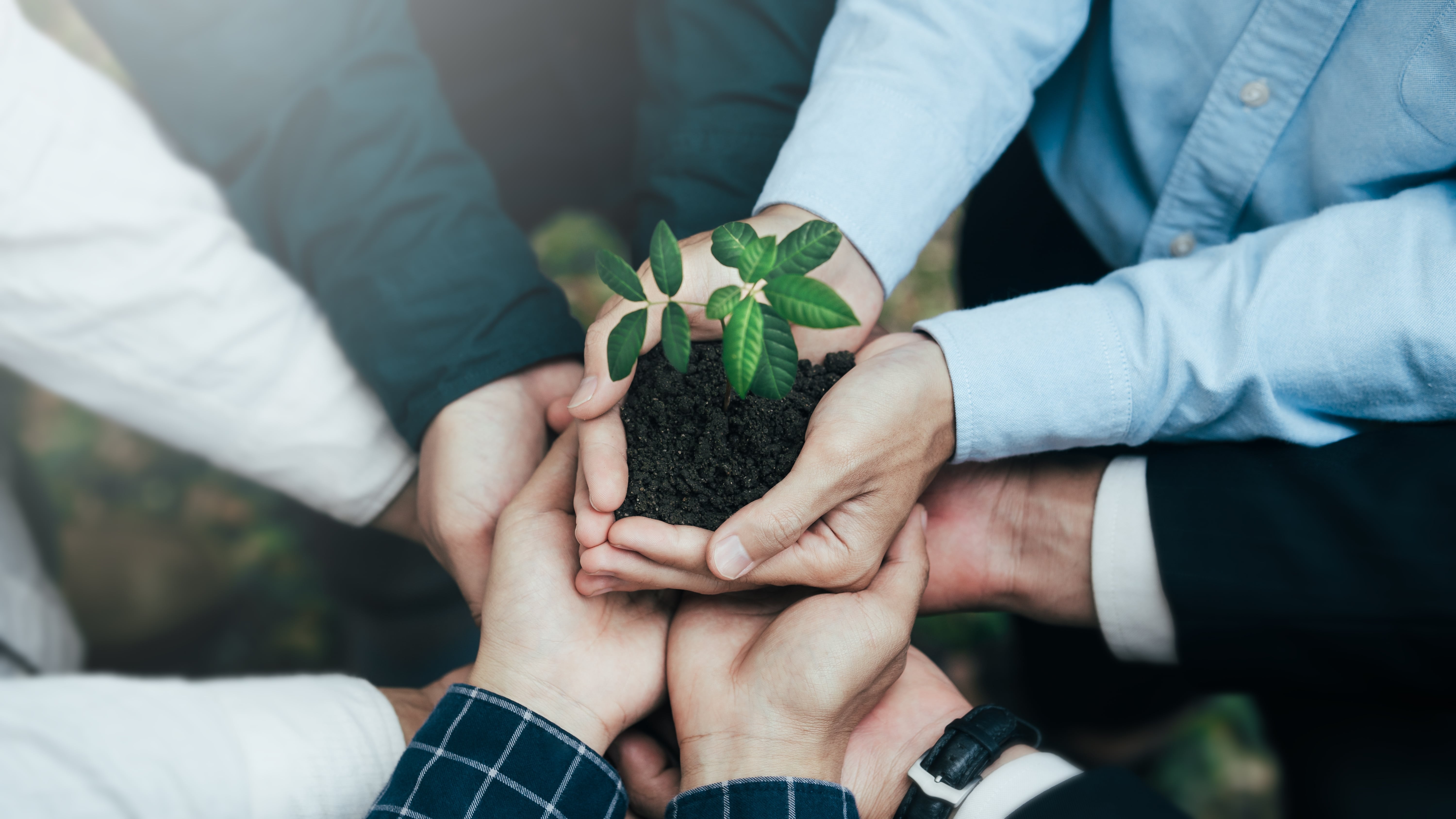 How Eco-friendly Benefits Are Transforming Talent Management Strategies